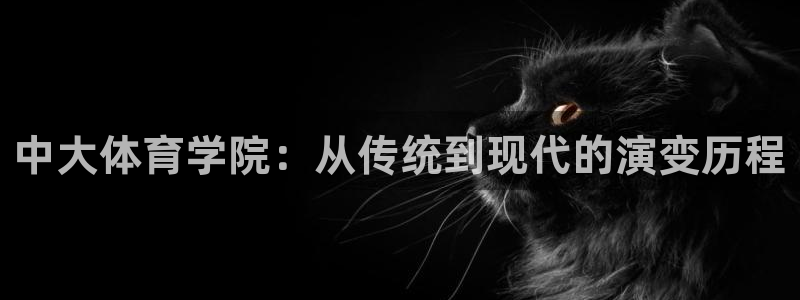 678体育官网下载：中大体育学院：从传统到现代的演变历程