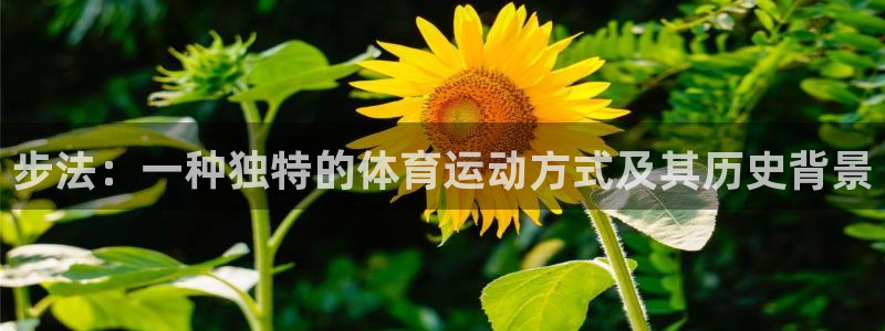 678体育