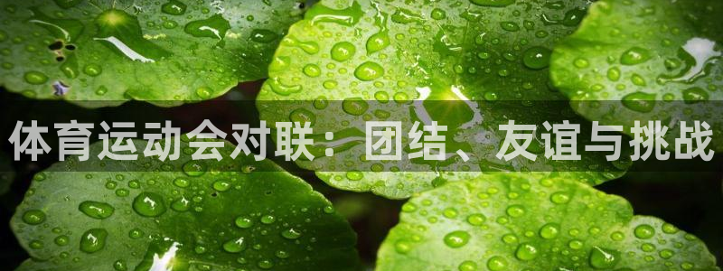 678体育官网下载