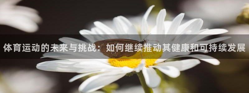 678体育app