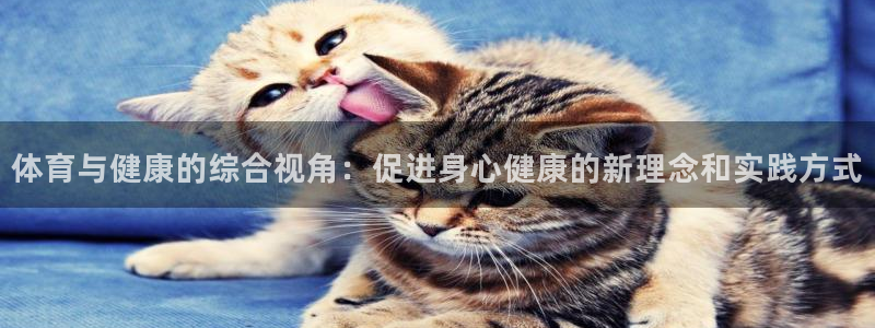 678体育