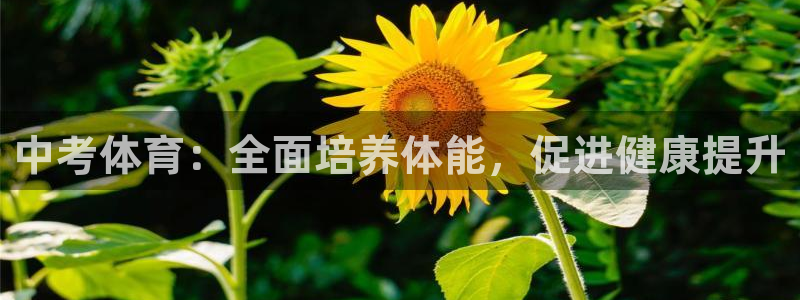 678体育知识