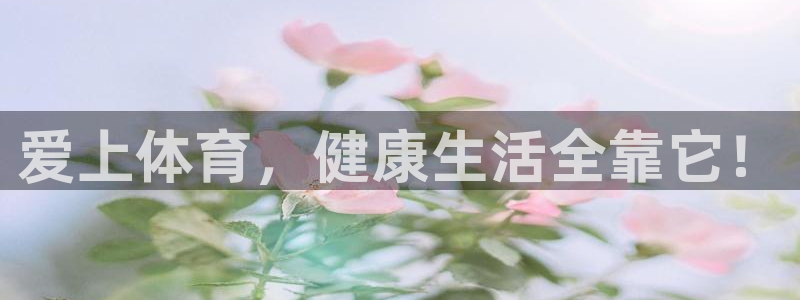 678体育官网