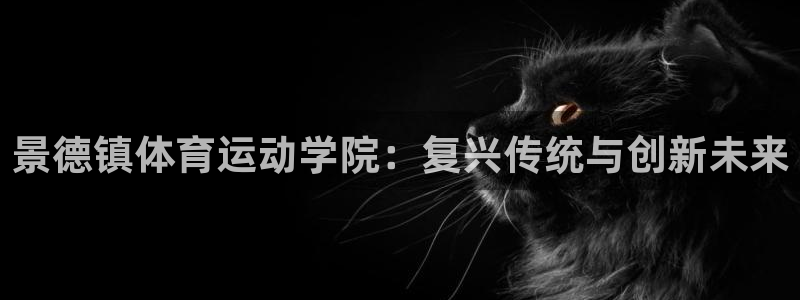 678体育官网下载：景德镇体育运动学院：复兴传统与创新未来