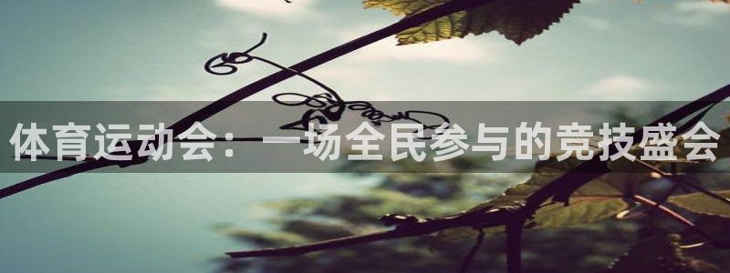 678体育官网地址