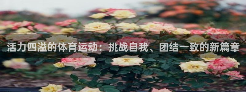 678体育app：活力四溢的体育运动：挑战自我、团结一致的新篇章
