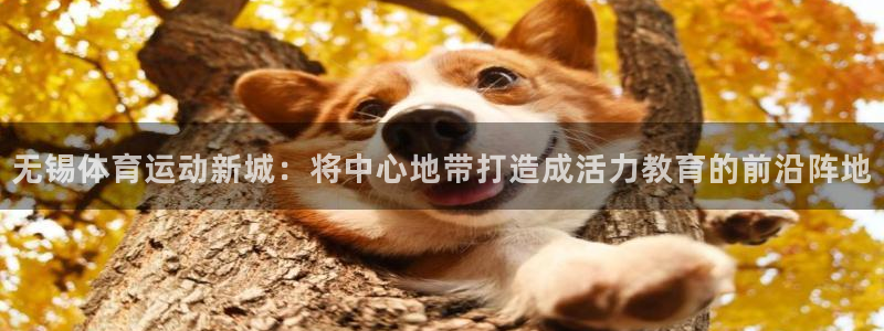 678体育官网地址：无锡体育运动新城：将中心地带打造成活力教育的前沿阵地