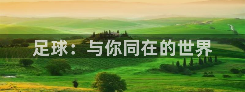 678体育app：足球：与你同在的世界