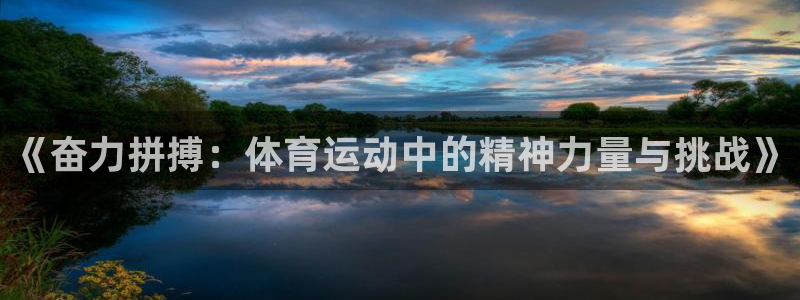 678体育官网下载：《奋力拼搏：体育运动中的精神力量与挑战》